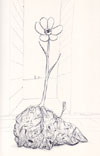 Flowers Grow from Shit, 2003