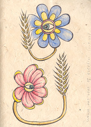 Flower and Seed of Eleusis , water colour on paper 2003